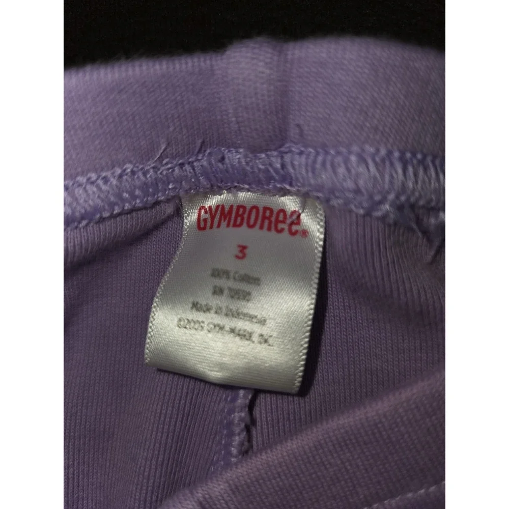 Gymboree fairy fashionable wand top purple leggings‎ spring Easter outfit size 3